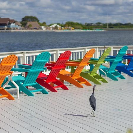 412-Amazing Views, Waterfront, Wifi, Pool, Close To Bucs Stadium Tampa Eksteriør bilde