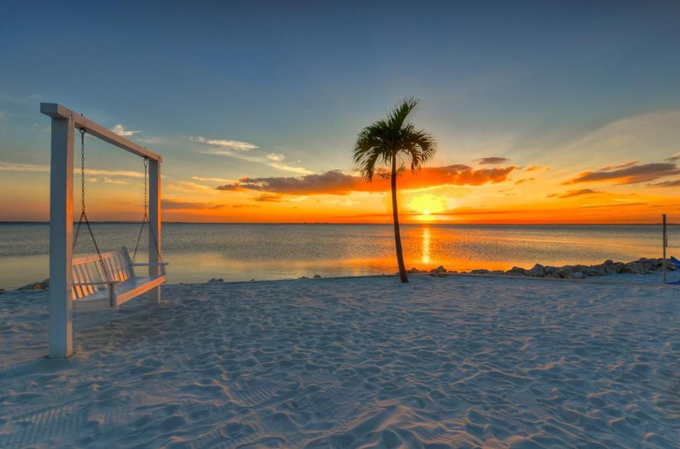 412-Amazing Views, Waterfront, Wifi, Pool, Close To Bucs Stadium Tampa Eksteriør bilde