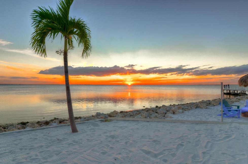 412-Amazing Views, Waterfront, Wifi, Pool, Close To Bucs Stadium Tampa Eksteriør bilde